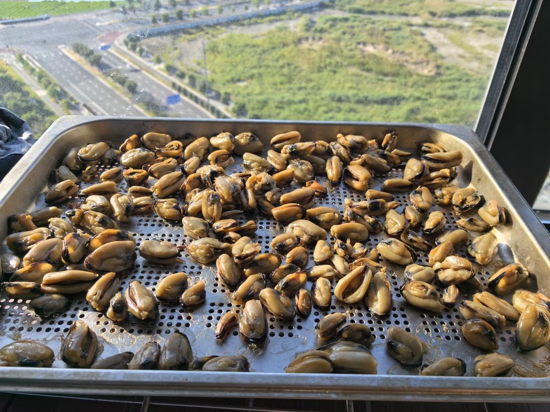 自制淡菜海虹干