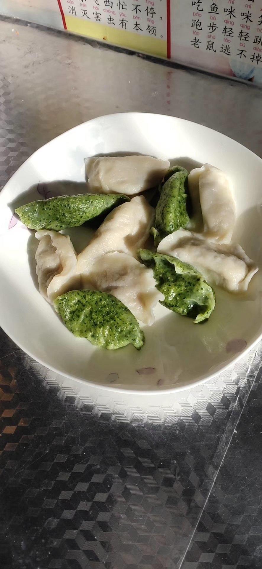 三色白菜猪肉水饺