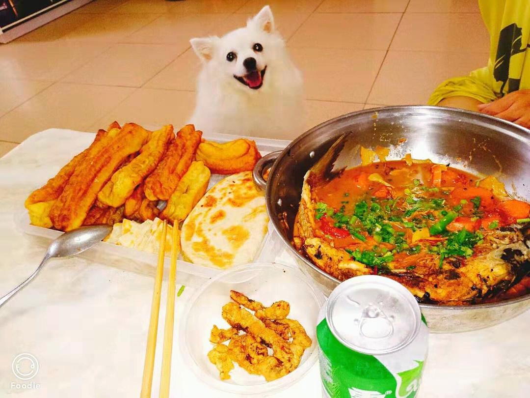 家常炖鱼 啤酒鱼