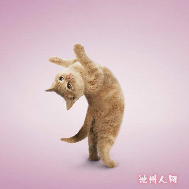 凯珊卫浴直销