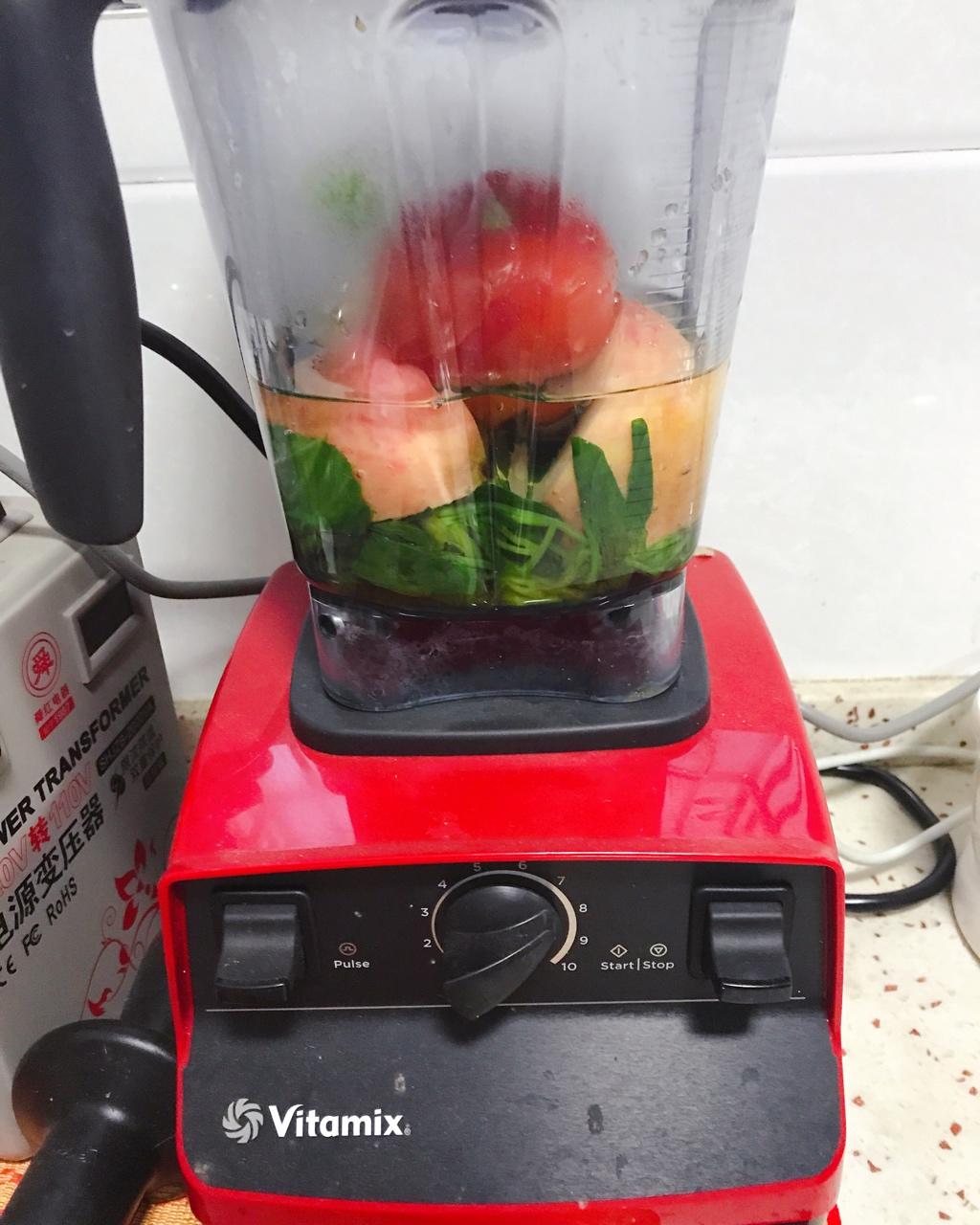 Vitamix 5300 记录