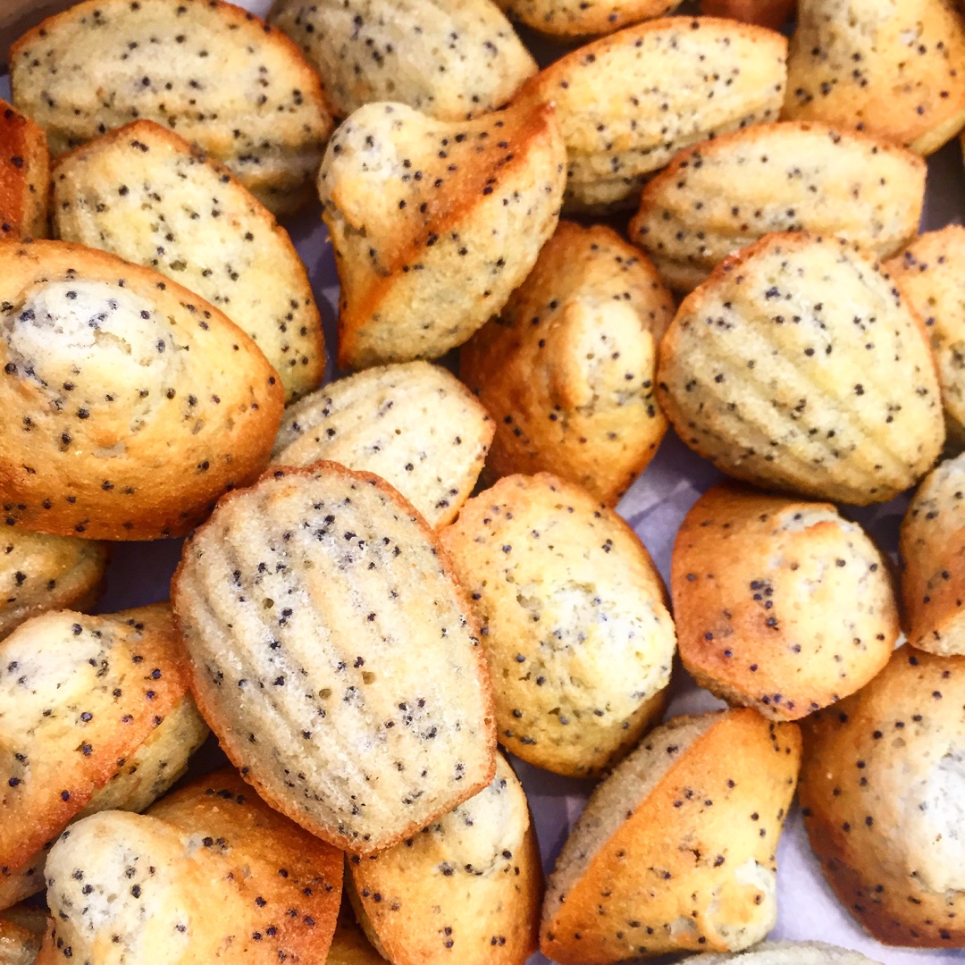玛德琳（蓝带方）