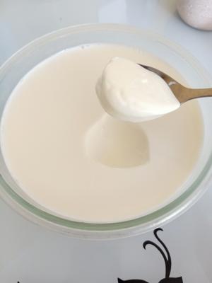 高压锅版酸奶 不用酸奶机的做法 步骤2