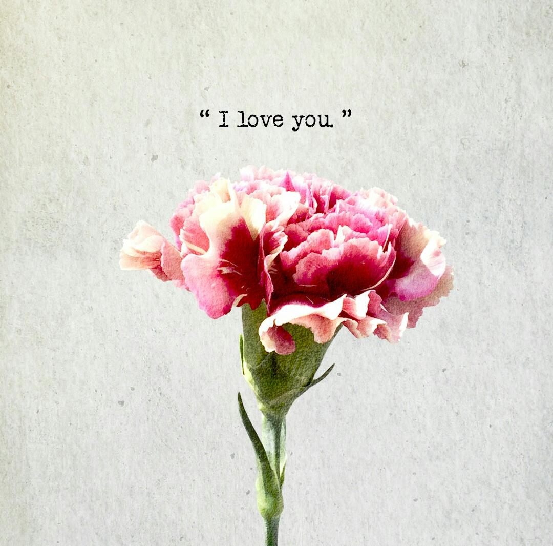 不会做饭的大傻妞