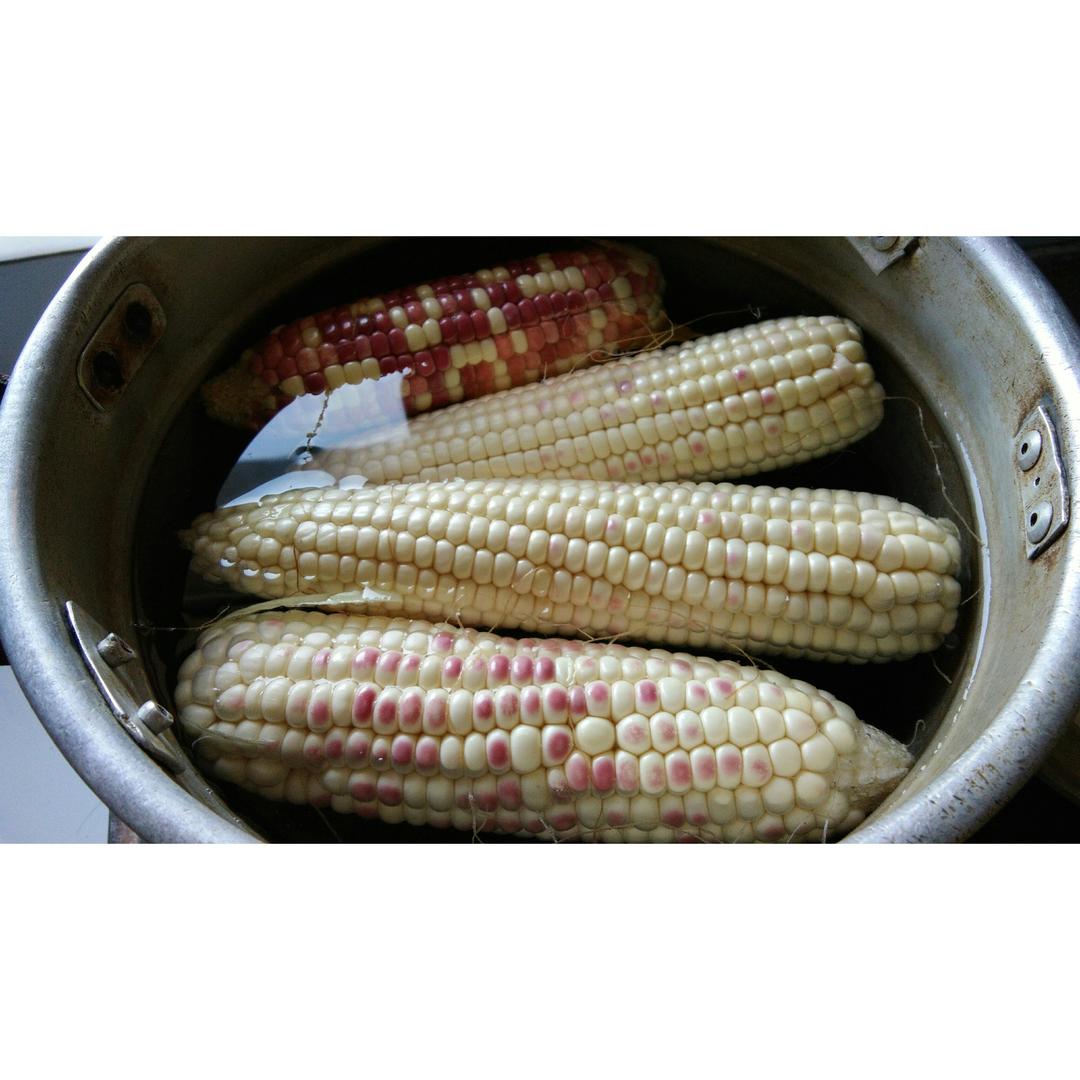 正确煮玉米的方法