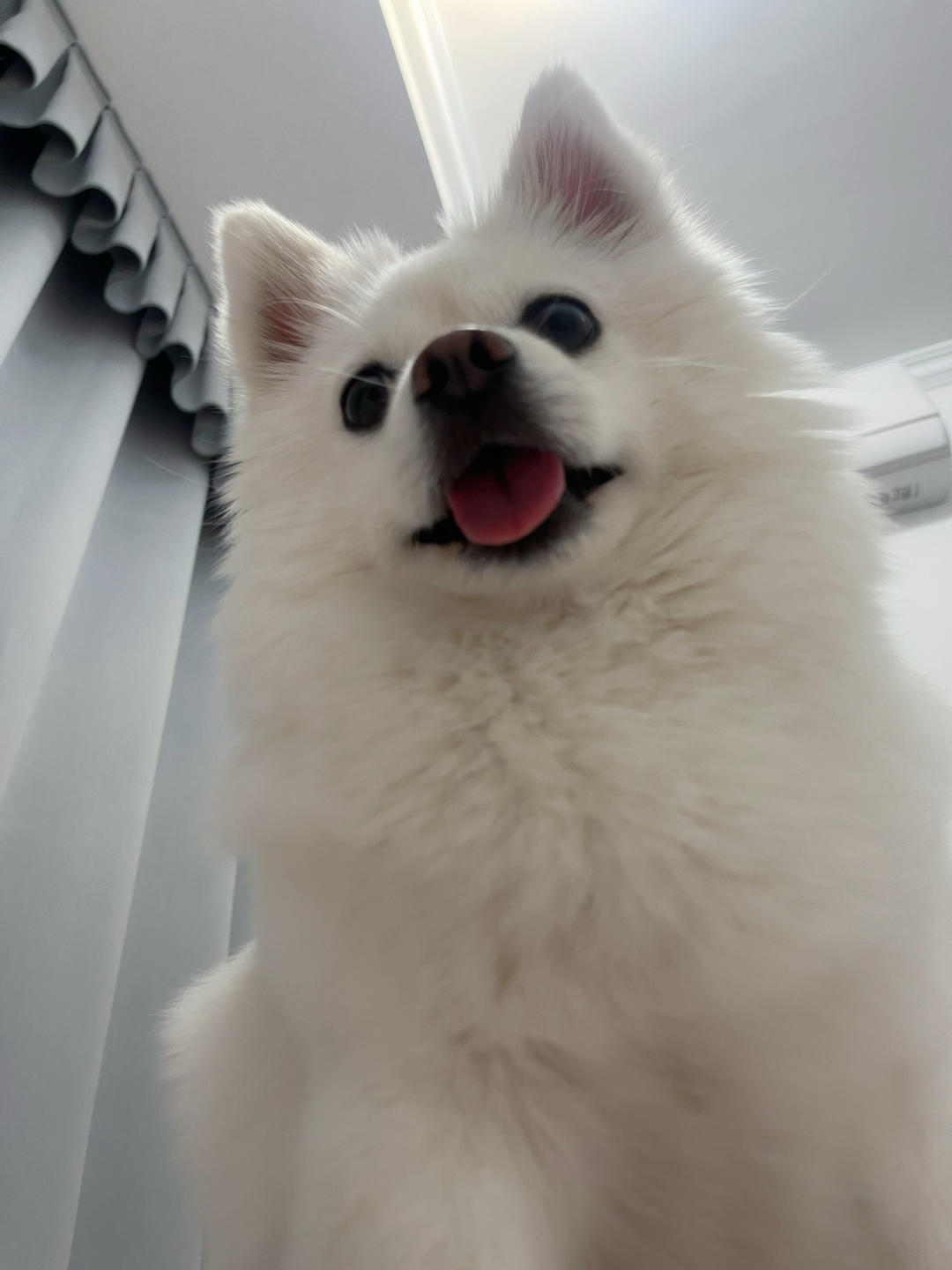 果_冻
