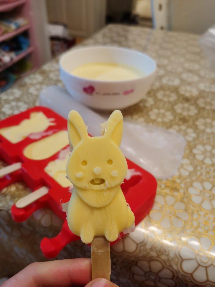 自制哈根达斯风味的冰淇淋