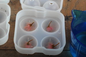【樱花水信玄饼】水滴一样的迷の物的做法 步骤6