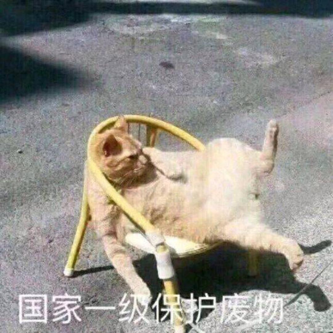 这个名字总可以了吧
