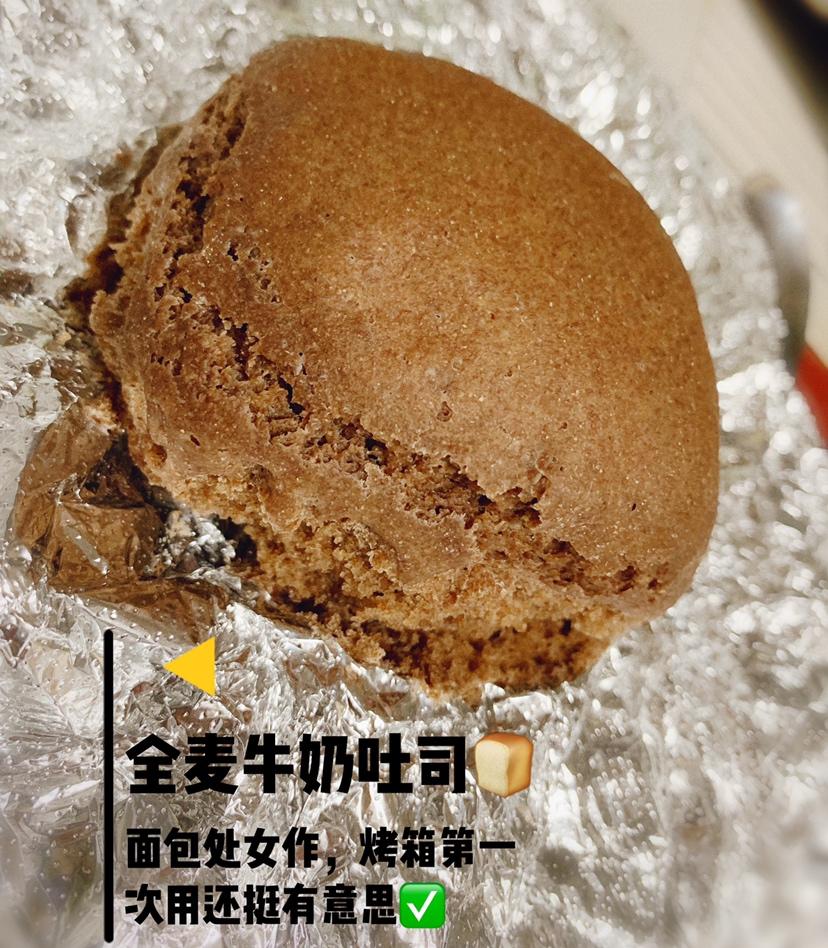 全麦黑麦吐司（无油无糖）水立方（免揉）【减肥】主食