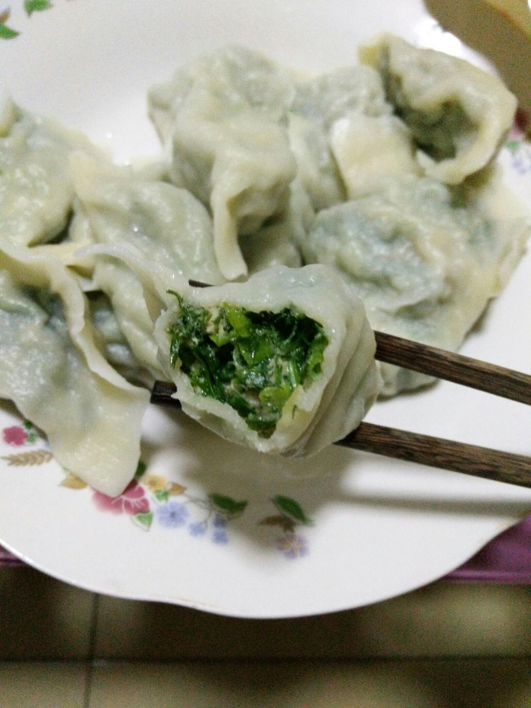 茴香猪肉馅儿水饺的做法