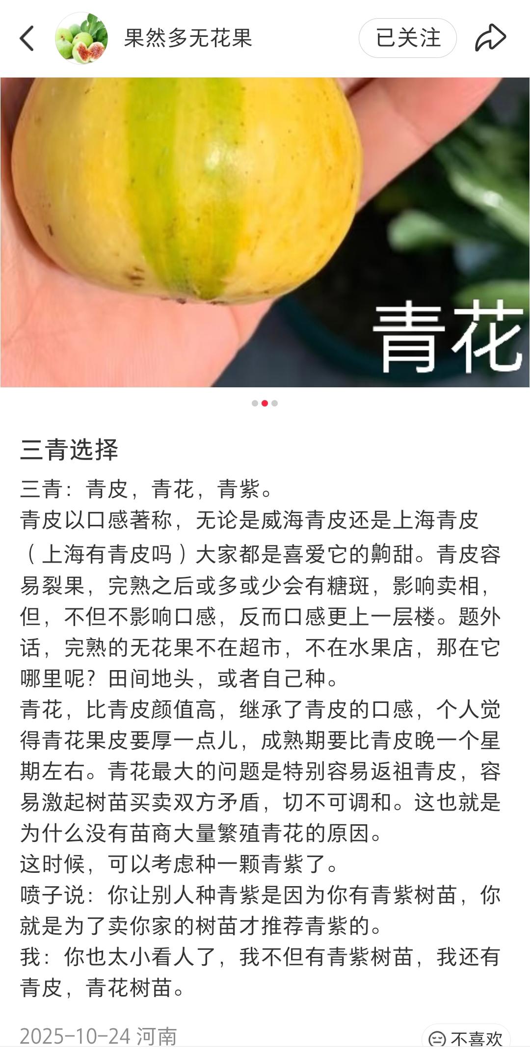 179 青花，花皮品种。果皮黄绿相间果肉红色或琥珀色