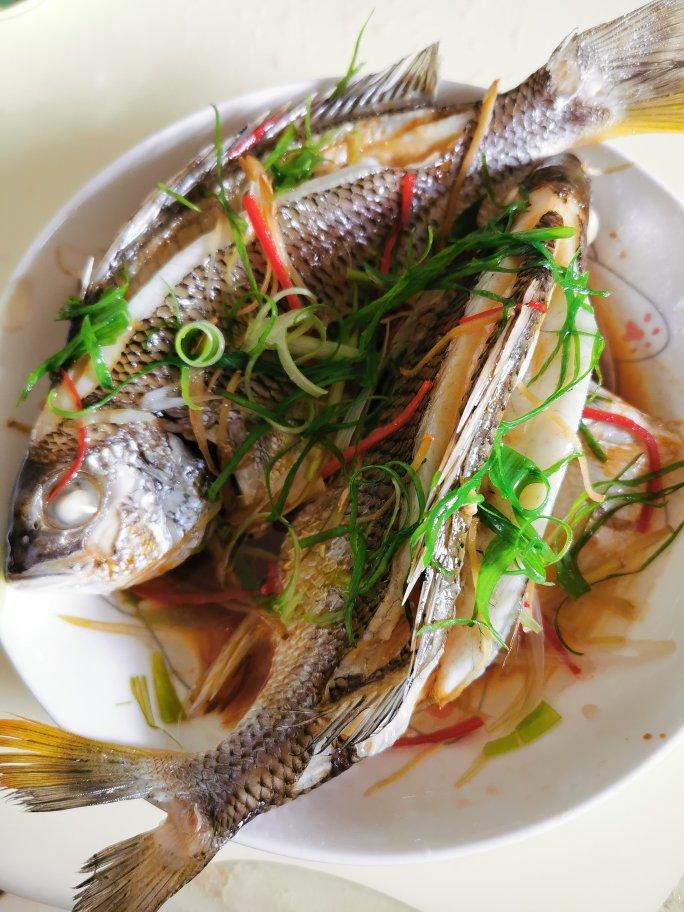 清蒸鱼