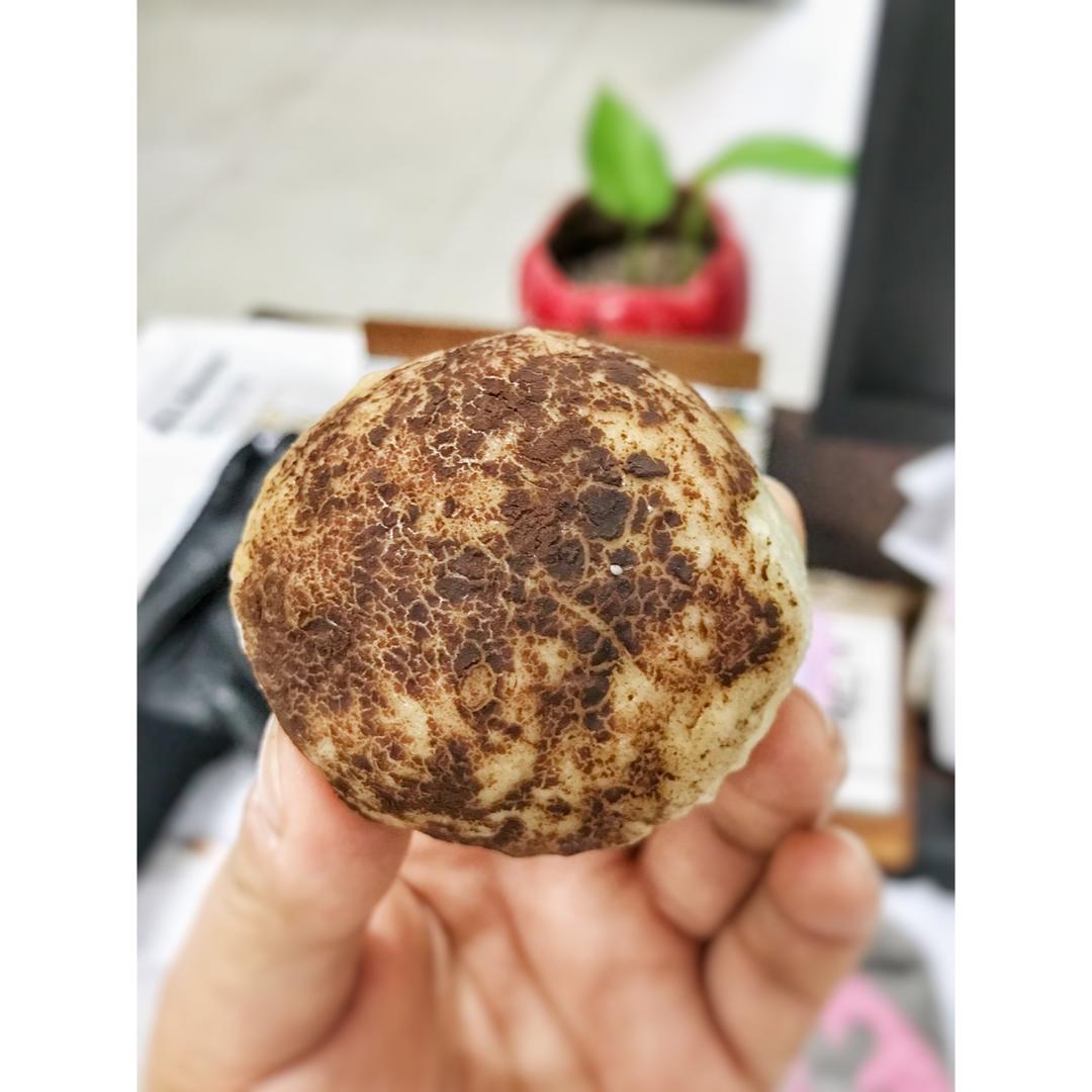 坐在一起吃好多顿早餐。