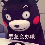 睡觉前就想看菜谱哼