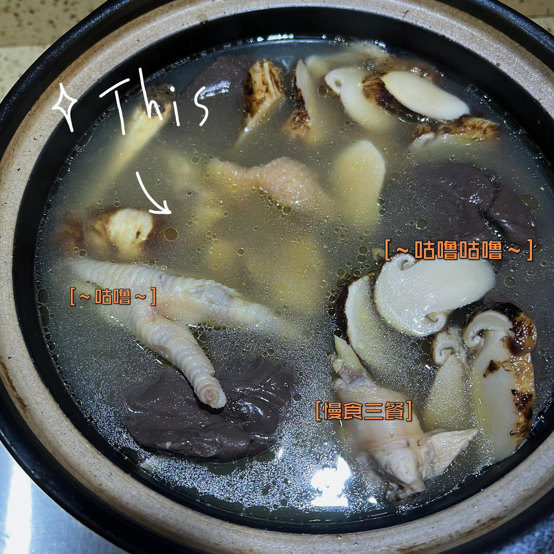 野生松茸炖鸡汤