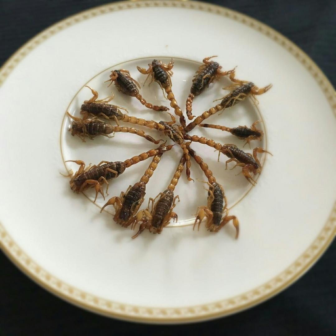 炸蝎子