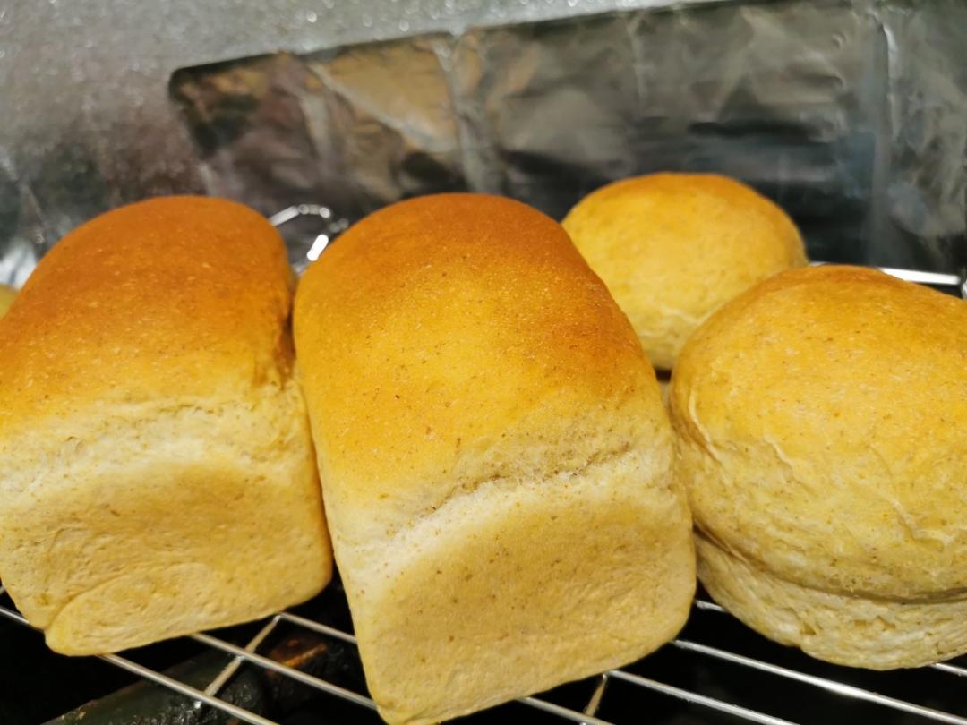 一次发酵不必手套膜的蘑菇头吐司