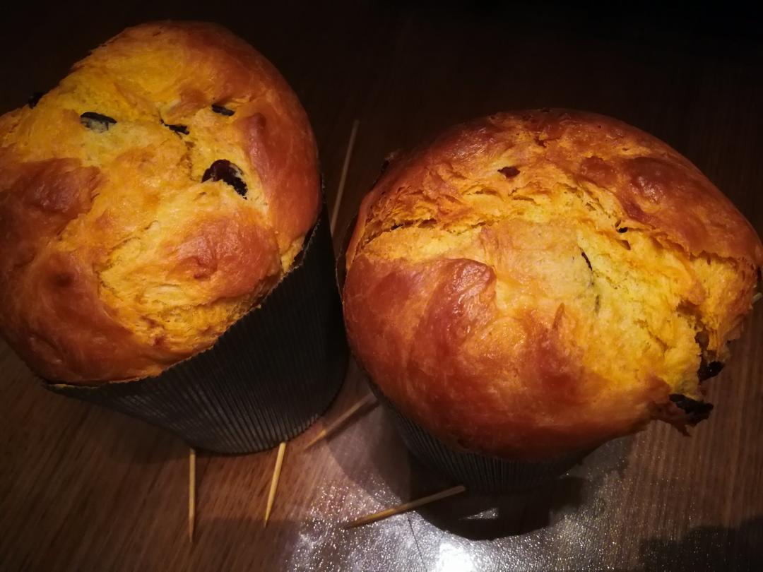 节日面包--天然酵种潘妮托尼（Panettone)