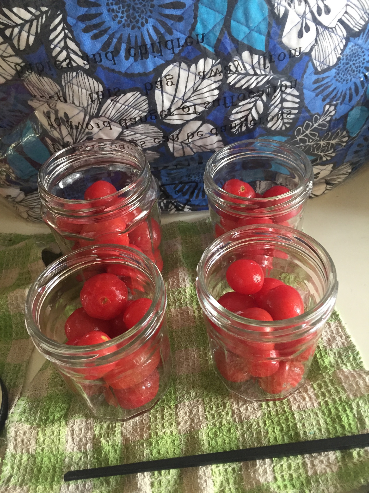 西梅酿小番茄的做法 步骤5