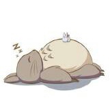 5爱吃火龙果