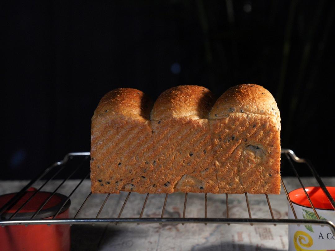 波兰种全麦吐司（40%全麦）