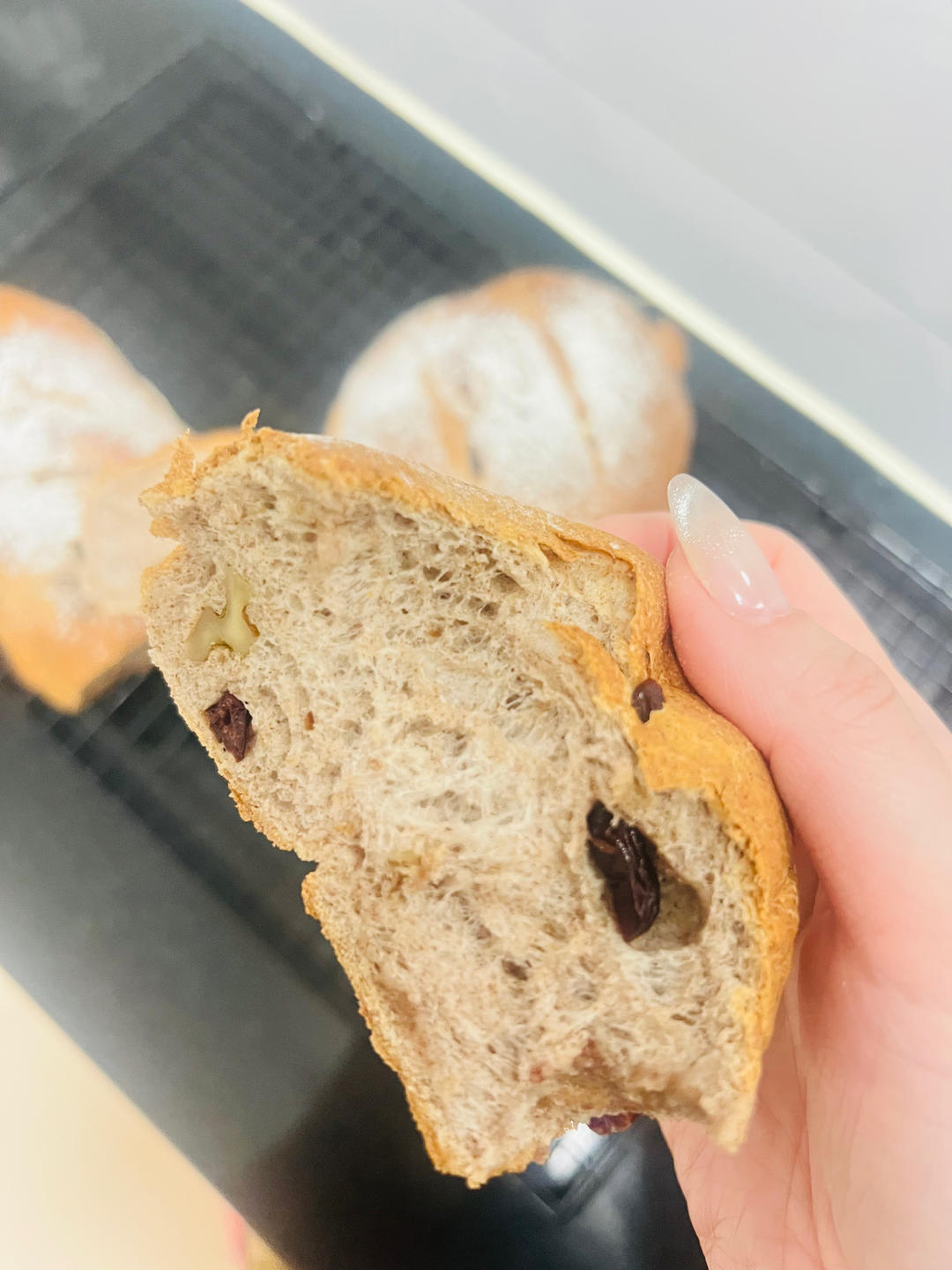 全麦蔓越莓核桃软欧包