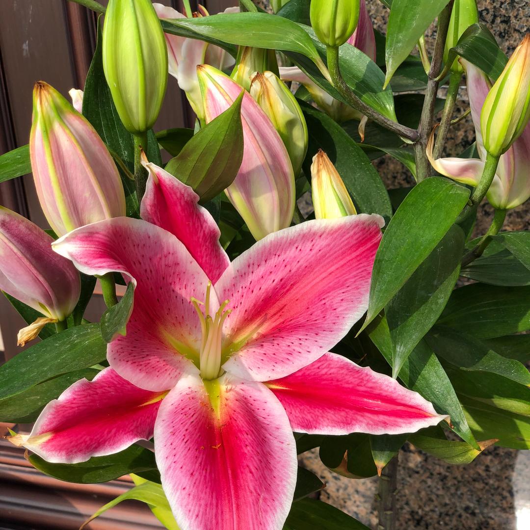 开始学做菜吃吃吃