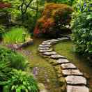 绿苑苗圃的厨房