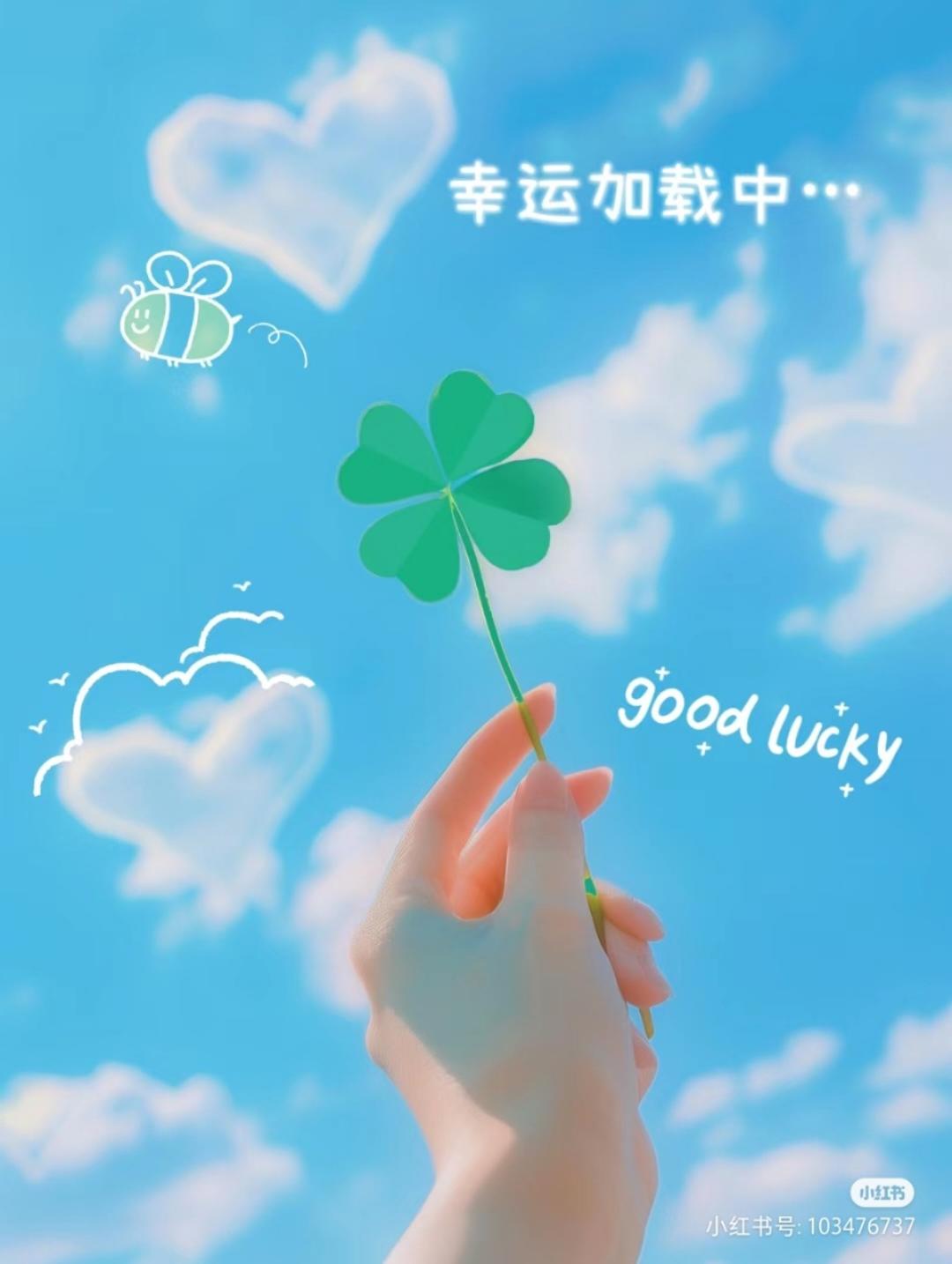 狐小美