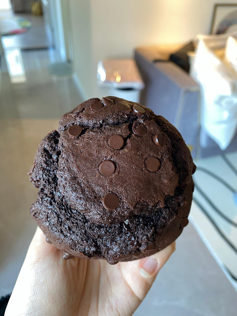 在家做巧克力蘑菇头麦芬蛋糕🍫