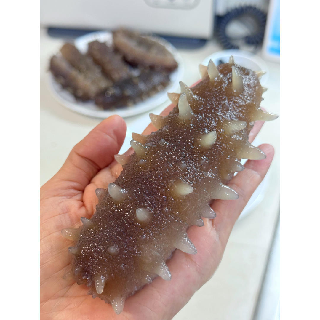 教你最正确好用的「海参泡发方法」