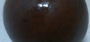 一只甜蜜的女汉纸。的封面