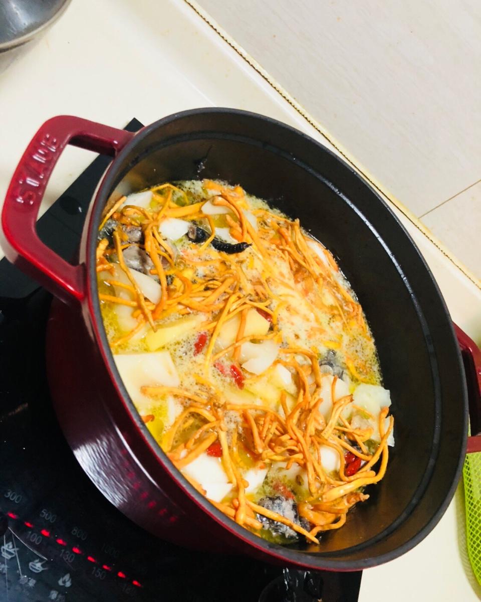 虫草花乌鸡汤