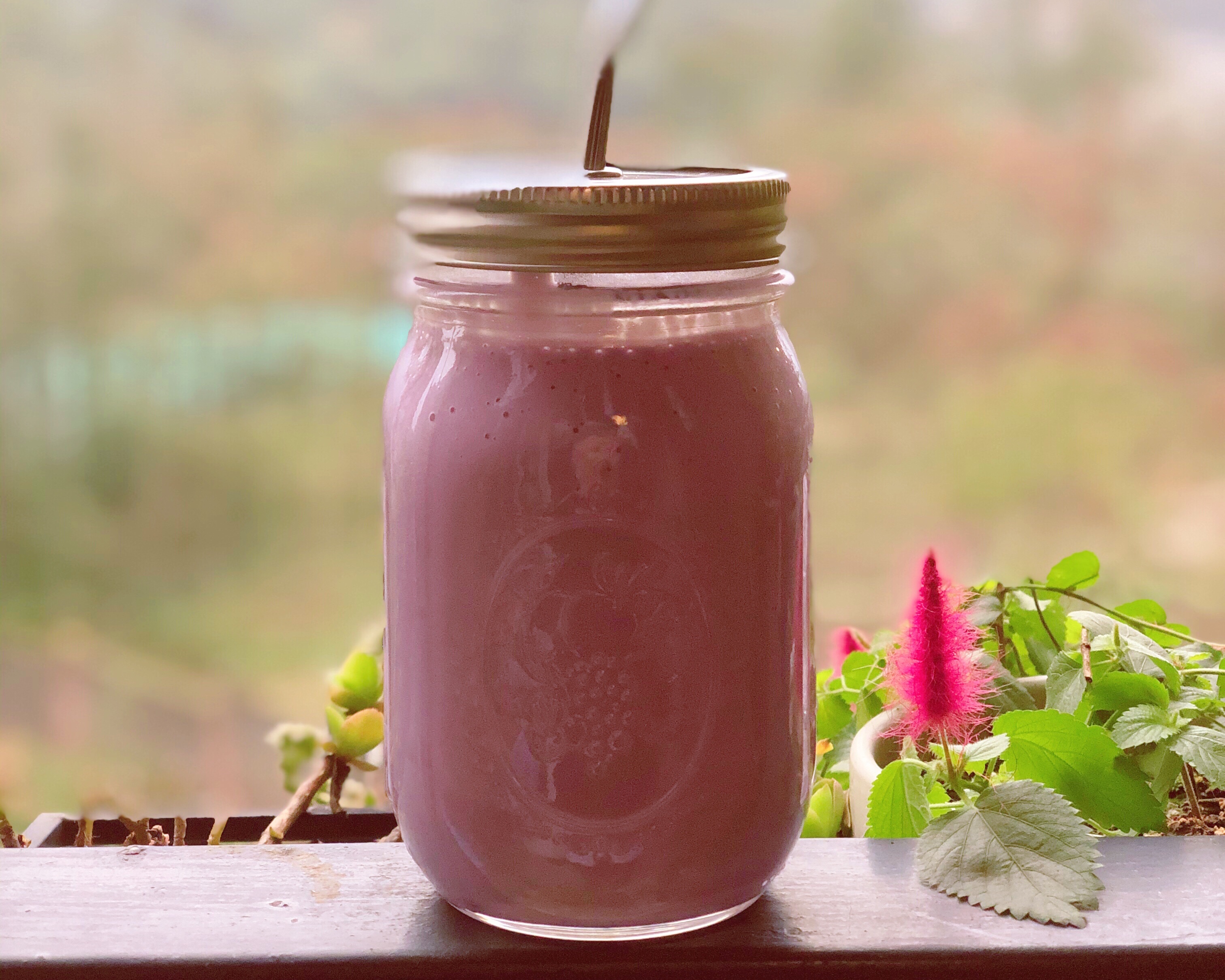 紫薯山药牛奶热饮（健身热饮）的做法 步骤4