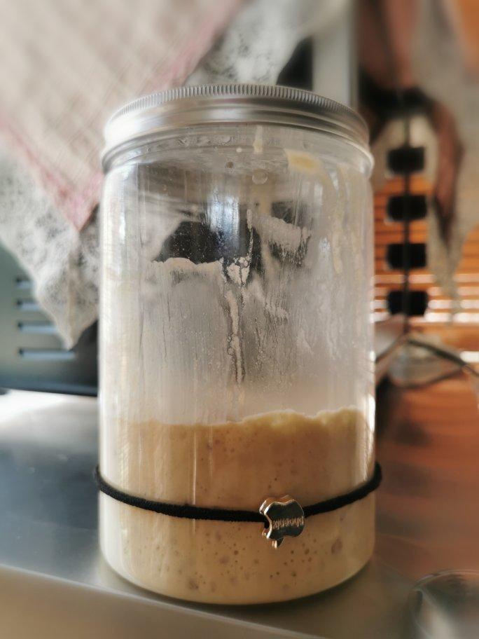 天然酵母宝宝养成记