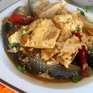 梭鱼炖大豆腐的做法 步骤10