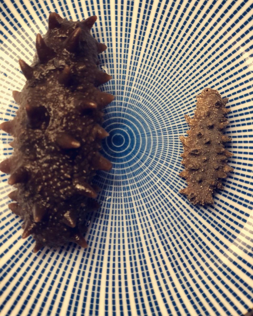 泡发海参实用攻略