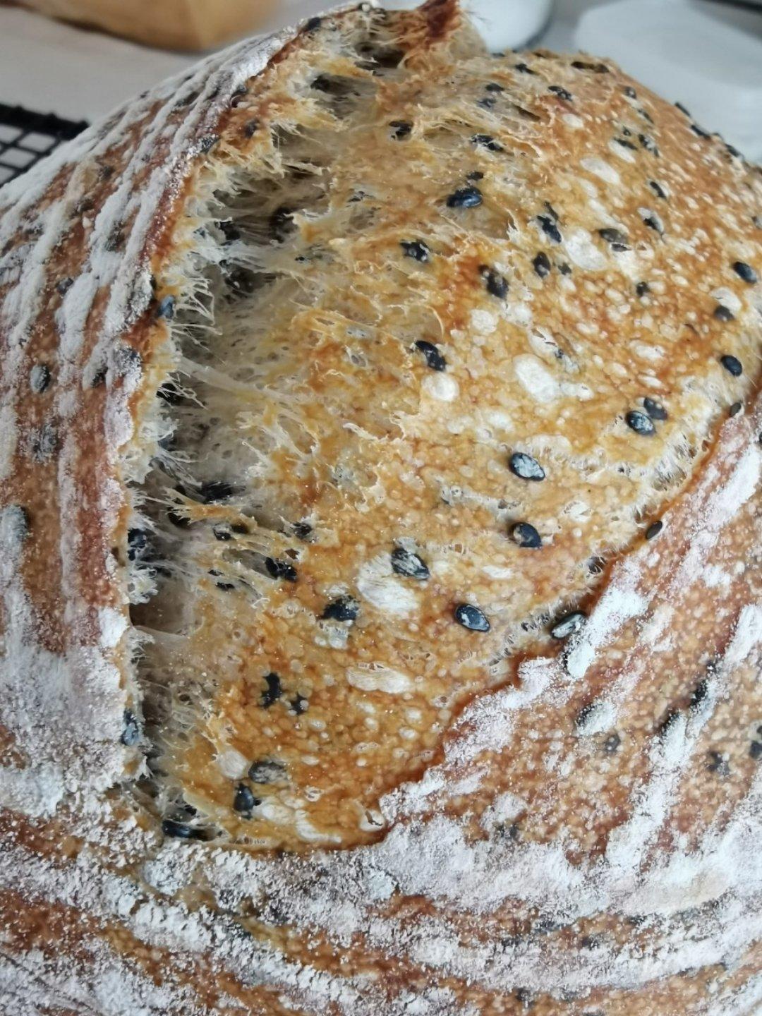 基础欧包练习-室温折叠隔夜冷藏（波兰种）