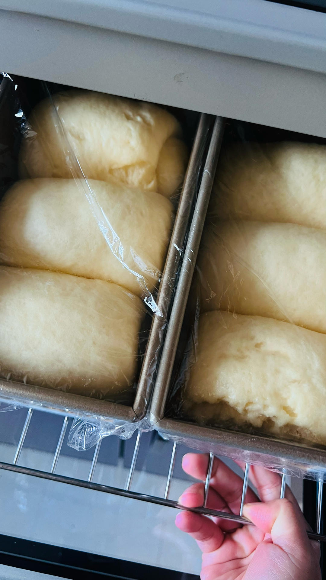 🍞消耗淡奶油吐司｜无黄油｜软绵绵｜奶香浓郁