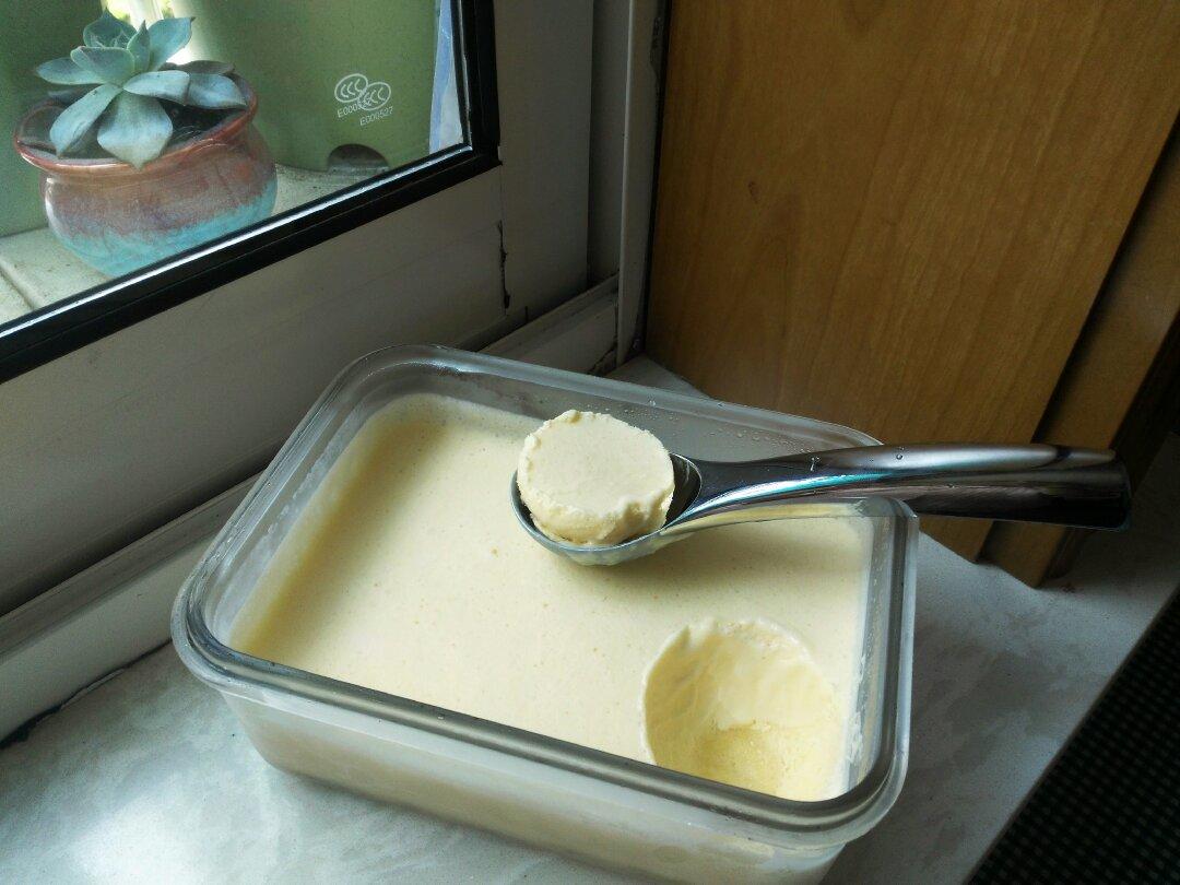 朗姆黑加仑冰淇淋 Rum Raisin Ice cream