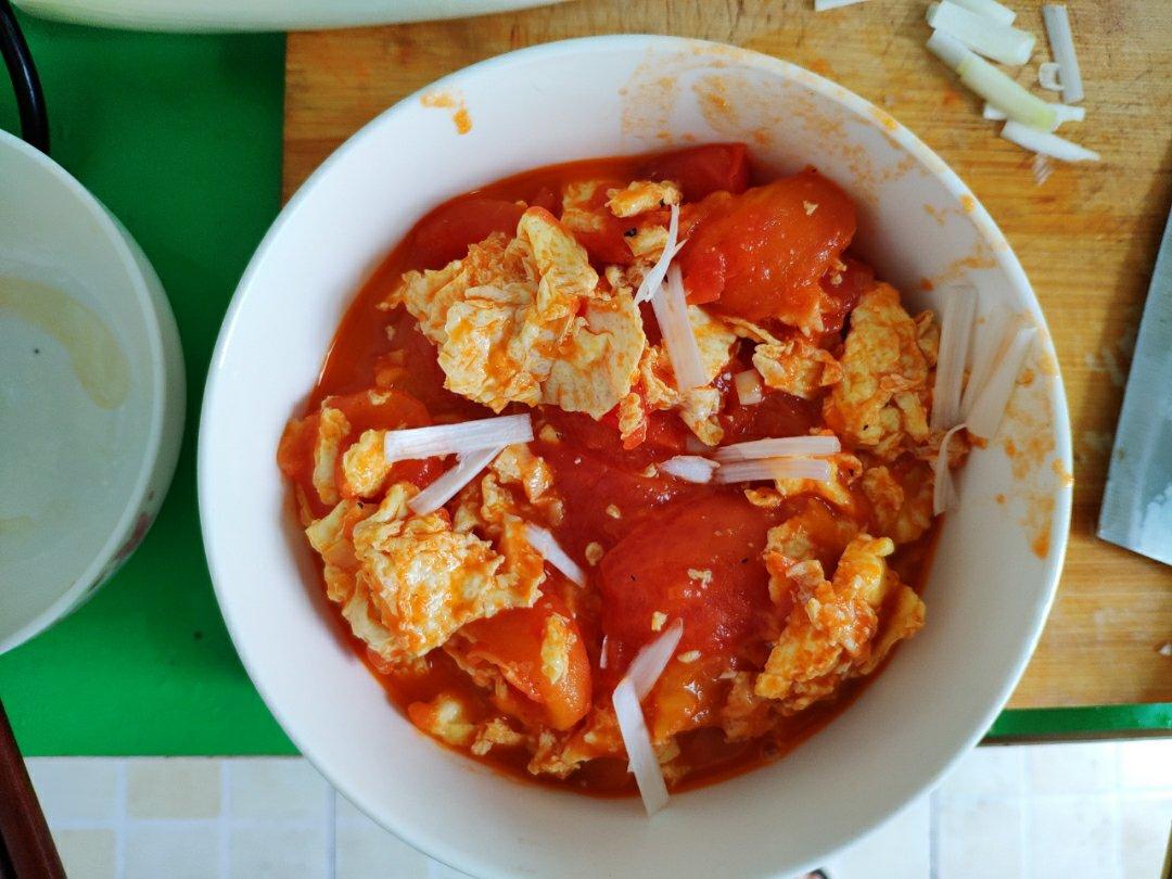 西红柿炒鸡蛋-新手下厨 Tomato and Eggs