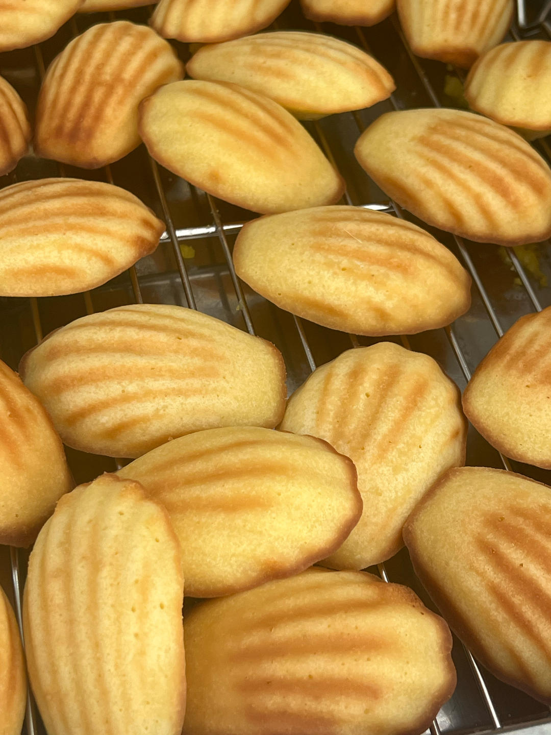 柠檬凝乳玛德琳（千代田柠檬模）普通模一样可以