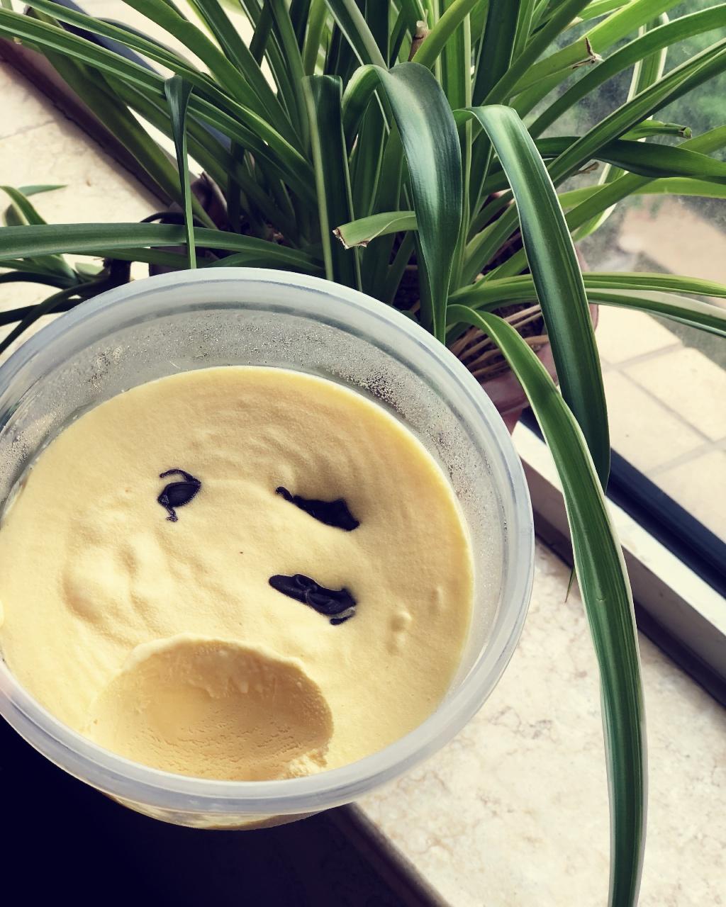 自制哈根达斯风味的冰淇淋