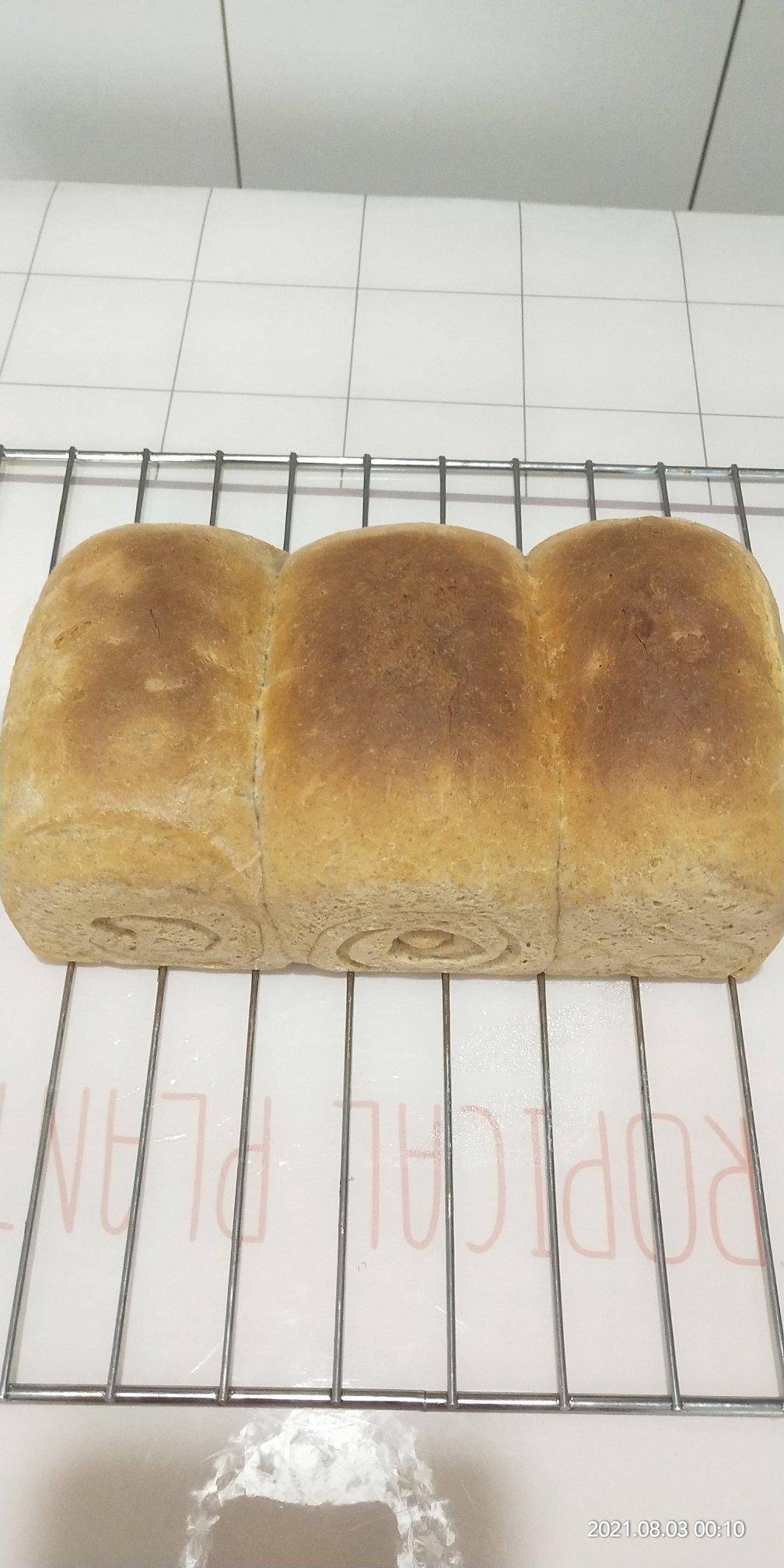 100%中种全麦吐司  麦香💯70%全麦 适合上班族、夏季首选低面温全麦吐司