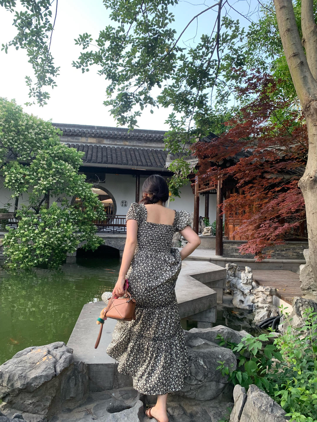 咸鱼的这一天