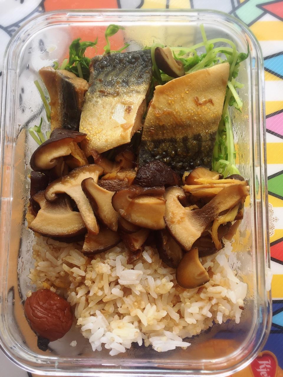 味噌鲭鱼（青花鱼）