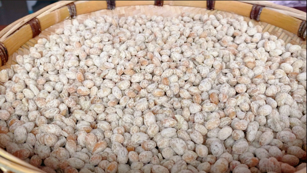霉豆豉只需发酵七天又香又臭