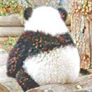 Rachel_han