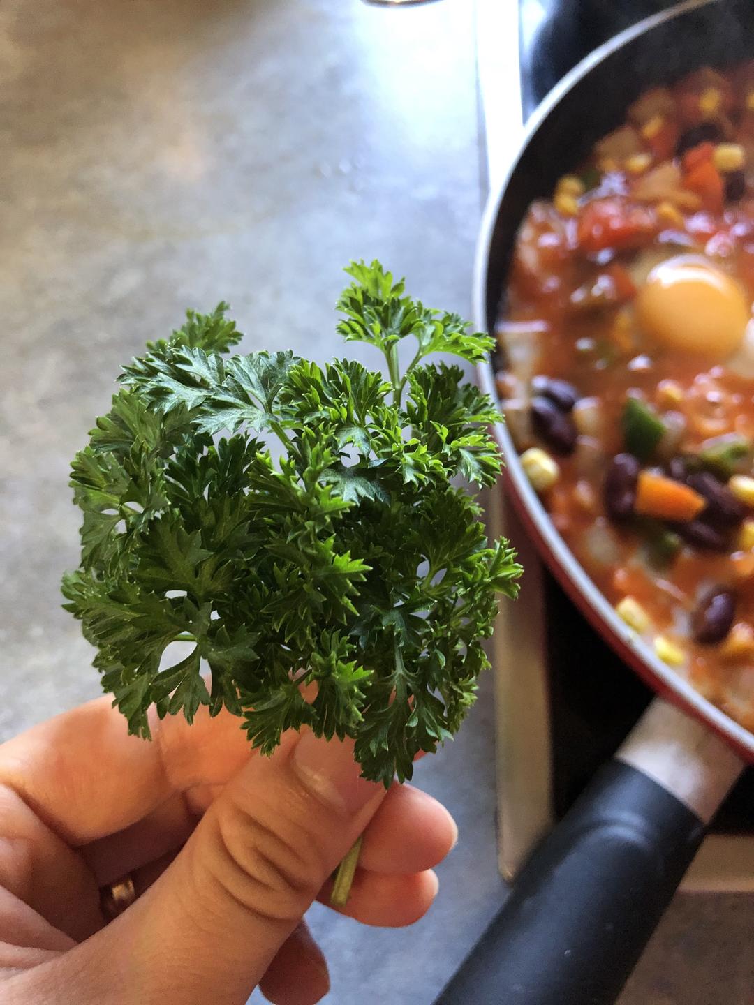 颜值高营养好的完美早餐-墨西哥太阳蛋的做法 步骤14